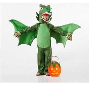 Pottery Barn Kids Green Dragon Costume